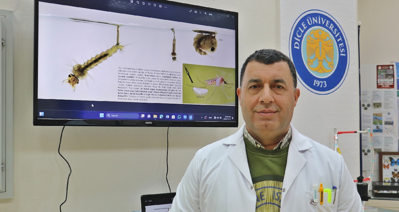 Uzman isim uyardı: Larva döneminde mücadele şart